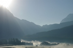 Bäume im Nebel, Zugspitzgebiet, Österreich / Trees in morning mist, Zugspitze region, Austria